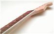 Allparts Replacement Neck for Stratocaster® with Binding AP-SRO-21B