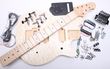 Electric Guitar Kit- EVH-Style BYO-EVH