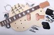 Electric Guitar Kit - LP Std BYO-LPSTD