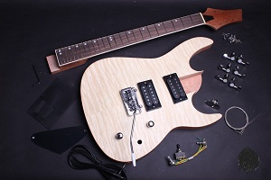 Electric Guitar Kit- PRS-Style Hard Tail BYO-PRS-HT