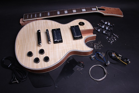 Electric Guitar Kit - Custom