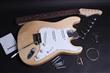 Images/stratocaster-electric-guitar-kit-sm.jpg