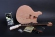 BYO Custom Shop LP Jr Kit BYO-CS-LPJr-Kit