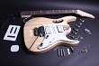 Electric Guitar Kit - JEM Style BYO-JEM