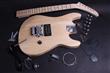 Electric Guitar Kit- Lunatic Style BYO-Lunatic