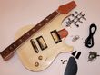 Electric Guitar Kit- PRS-Style Hard Tail BYO-PRS-HT