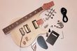 Electric Guitar Kit- PRS-Style Hard Tail BYO-PRS-HT