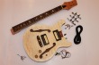 Electric Guitar Kit- Carved Top Semi Hollow  BYO-CT-SH2