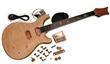 ELECTRIC GUITAR KIT- PRS-STYLE BYO-PRS
