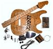 Electric Guitar Kit - Wolfgang BYO-WG