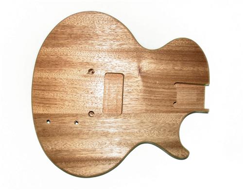 lpjr-electric-guitar-kit-body.jpg