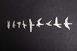 Pearloid Bird Inlays BYO-I-Pearl-Birds