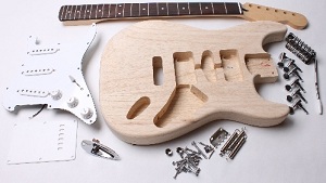 Images/stratocaster-electric-guitar-kit-sm.jpg