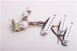 Complete Strat Harness ST-Hrn