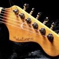 Wudtone Neck Finishing Kit - Aged Vintage Yellow  WNFK-AVY