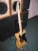 customshop72thinline9_small.jpg