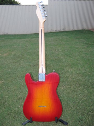 customshoptele1pieceswampashbody2.jpg