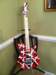 finishedlunaticguitar_small.jpg